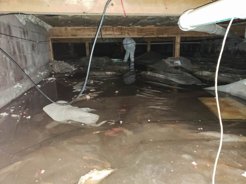 Basement Waterproofing Specialists